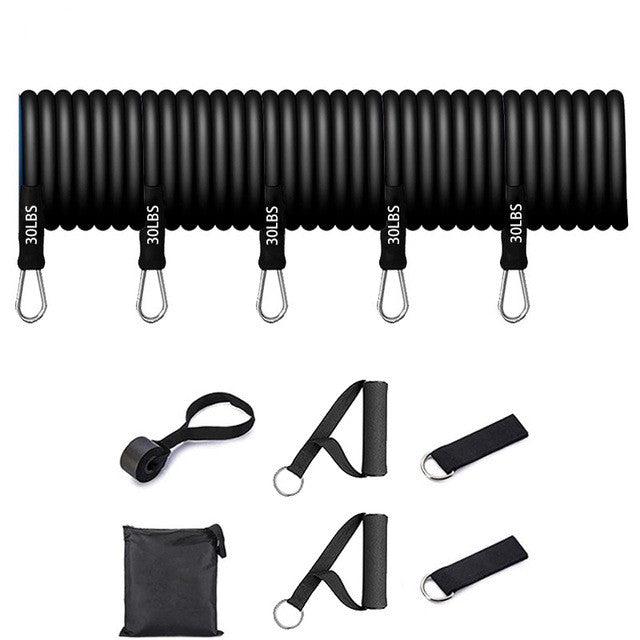 Portable Resistance Bands Set
