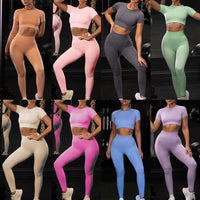 Women's Yoga Seamless Fitness Set