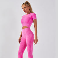 Women's Yoga Seamless Fitness Set